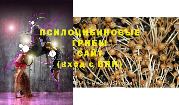кокаин колумбия Богданович