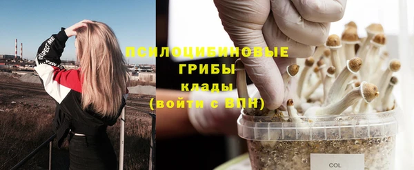кокаин колумбия Богданович