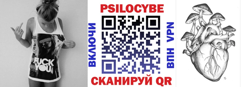 Псилоцибиновые грибы Psilocybine cubensis  МЕГА ссылки  Высоцк  наркотики 